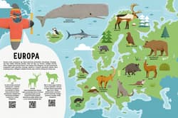 Galeria - zdjęcie nr. 3 - Mój pierwszy atlas zwierząt