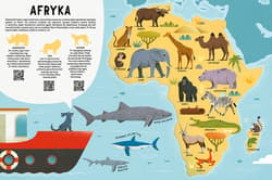 Galeria - zdjęcie nr. 2 - Mój pierwszy atlas zwierząt