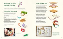 Galeria - zdjęcie nr. 4 - Mój pierwszy zielnik. Zbieram kwiaty, liście i trawy