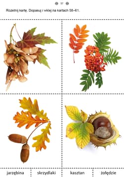 Galeria - zdjęcie nr. 3 - Mój rok część 1 Karty pracy dla uczniów z niepełnosprawnością intelektualną