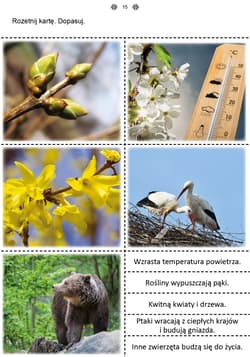 Galeria - zdjęcie nr. 3 - Mój rok część 3 Karty pracy dla uczniów z niepełnosprawnością intelektualną