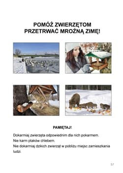 Galeria - zdjęcie nr. 4 - Mój rok Podręcznik dla uczniów z niepełnosprawnością intelektualną
