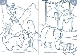 Galeria - zdjęcie nr. 2 - Moja kolorowanka Zwierzęta w Tatrach