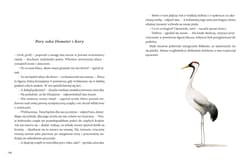 Galeria - zdjęcie nr. 3 - Moja pierwsza mitologia Księga I