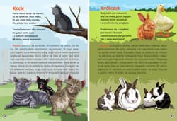Galeria - zdjęcie nr. 4 - Moja przyroda. Dzieci zwierząt