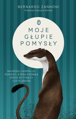 Moje głupie pomysły - ebook