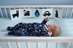 Galeria - zdjęcie nr. 4 - Moje pierwsze kolory. Książeczka kontrastowa