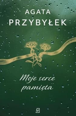Moje serce pamięta Wielkie Litery - Agata Przybyłek