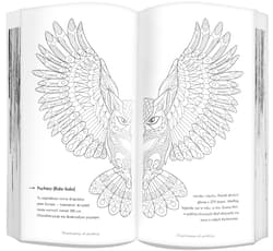 Galeria - zdjęcie nr. 3 - Moje szkice podróżne Karkonosze