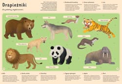 Galeria - zdjęcie nr. 2 - Moje własne zoo Odkrywamy tajemniczy świat zwierząt