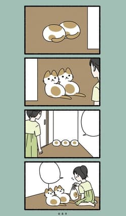 Galeria - zdjęcie nr. 5 - Monster Cats Vol. 1 wer. angielska