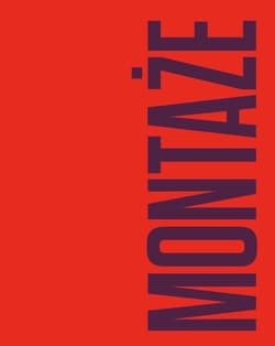 Montaże. Debora Vogel i nowa legenda miasta - Praca zbiorowa