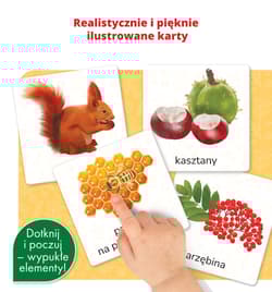 Galeria - zdjęcie nr. 2 - Montessori. Karty sensoryczne Przyroda 3+