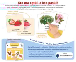 Galeria - zdjęcie nr. 4 - Montessori. Karty sensoryczne Przyroda 3+