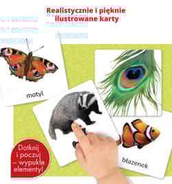 Galeria - zdjęcie nr. 2 - Montessori. Karty sensoryczne. Zwierzęta 2+