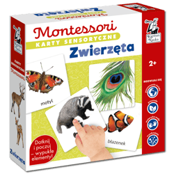 Montessori. Karty sensoryczne. Zwierzęta 2+ - Katarzyna Dołhun