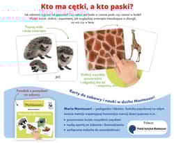Galeria - zdjęcie nr. 4 - Montessori. Karty sensoryczne. Zwierzęta 2+