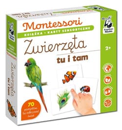 Montessori Zwierzęta tu i tam Karty sensoryczne z książeczką Kapitan Nauka