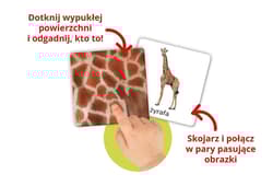 Galeria - zdjęcie nr. 2 - Montessori Zwierzęta tu i tam Karty sensoryczne z książeczką Kapitan Nauka