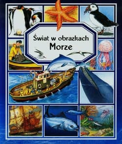 Morze Świat w obrazkach - Beaumont Emilie, Pimont Marie-Renee