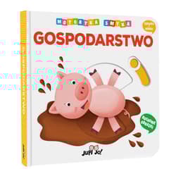 Motoryka smyka Gospodarstwo - Benedetta Nigelli