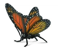 Motyl królewski