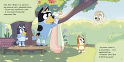 Galeria - zdjęcie nr. 3 - Motylki. Bluey. Moja czytanka