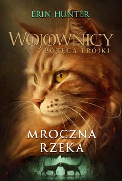 Mroczna rzeka - ebook