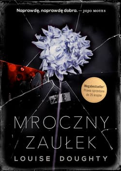 Mroczny zaułek - Louise Doughty