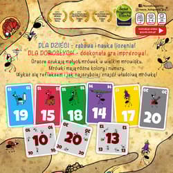 Galeria - zdjęcie nr. 5 - Mrówki