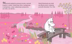 Galeria - zdjęcie nr. 3 - Muminek i zaginiona luneta