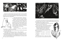 Galeria - zdjęcie nr. 2 - Muminki zebrane Tom 1