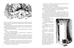 Galeria - zdjęcie nr. 3 - Muminki zebrane Tom 1