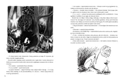 Galeria - zdjęcie nr. 5 - Muminki zebrane Tom 1