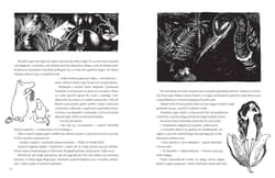 Galeria - zdjęcie nr. 4 - Muminki zebrane. Tom 1