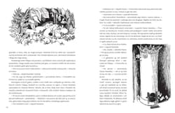 Galeria - zdjęcie nr. 5 - Muminki zebrane. Tom 1