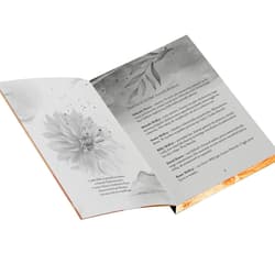 Galeria - zdjęcie nr. 2 - My Chance. Miasteczko Caddo Mills. Tom 1