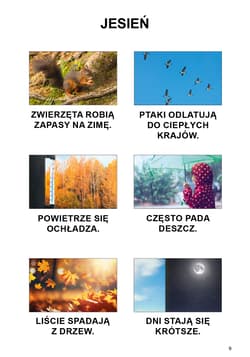 Galeria - zdjęcie nr. 2 - My i świat wokół nas Podręcznik dla uczniów z niepełnosprawnością intelektualną My i świat wokół nas