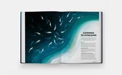 Galeria - zdjęcie nr. 4 - Mysteries of Marine Mammals. An Illustrated Guide to Whales, Dolphins, and Porpoises
