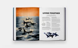 Galeria - zdjęcie nr. 2 - Mysteries of Marine Mammals. An Illustrated Guide to Whales, Dolphins, and Porpoises