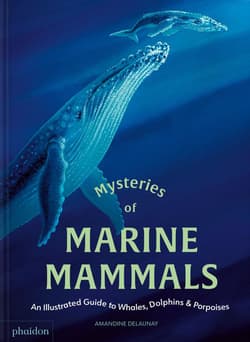 Mysteries of Marine Mammals. An Illustrated Guide to Whales, Dolphins, and Porpoises - Amandine Delaunay