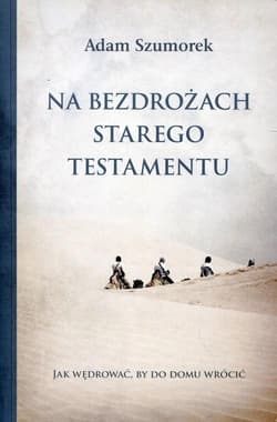 Na bezdrożach Starego Testamentu - Adam Szumorek