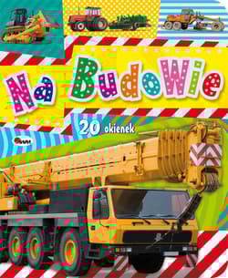 Na budowie 20 okienek