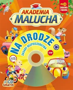 Na drodze zasady bezpieczeństwa - Urszula Kozłowska