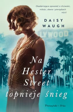 Na Hester Street topnieje śnieg - ebook - Daisy Waugh