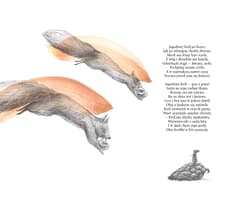 Galeria - zdjęcie nr. 3 - Na jagody