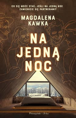 Na jedną noc - ebook