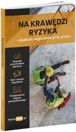 Na krawędzi ryzyka - studium wypadków przy pracy - Praca zbiorowa