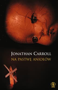 Na pastwę aniołów - ebook