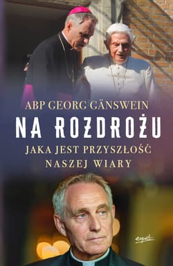 Na rozdrożu - ebook - Georg Gänswein
